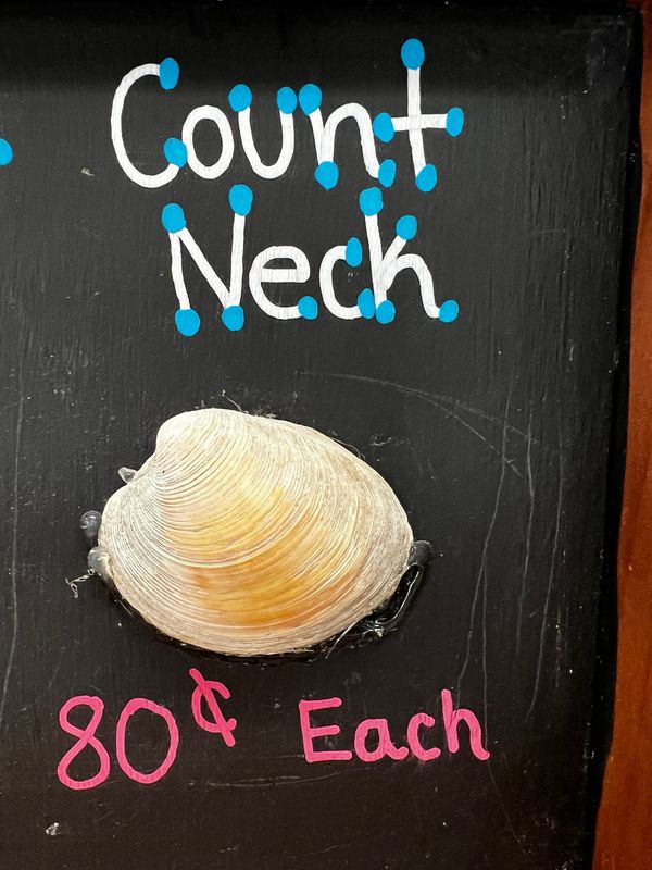 Countneck Clams