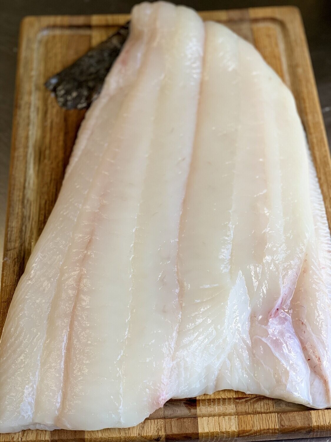 Halibut