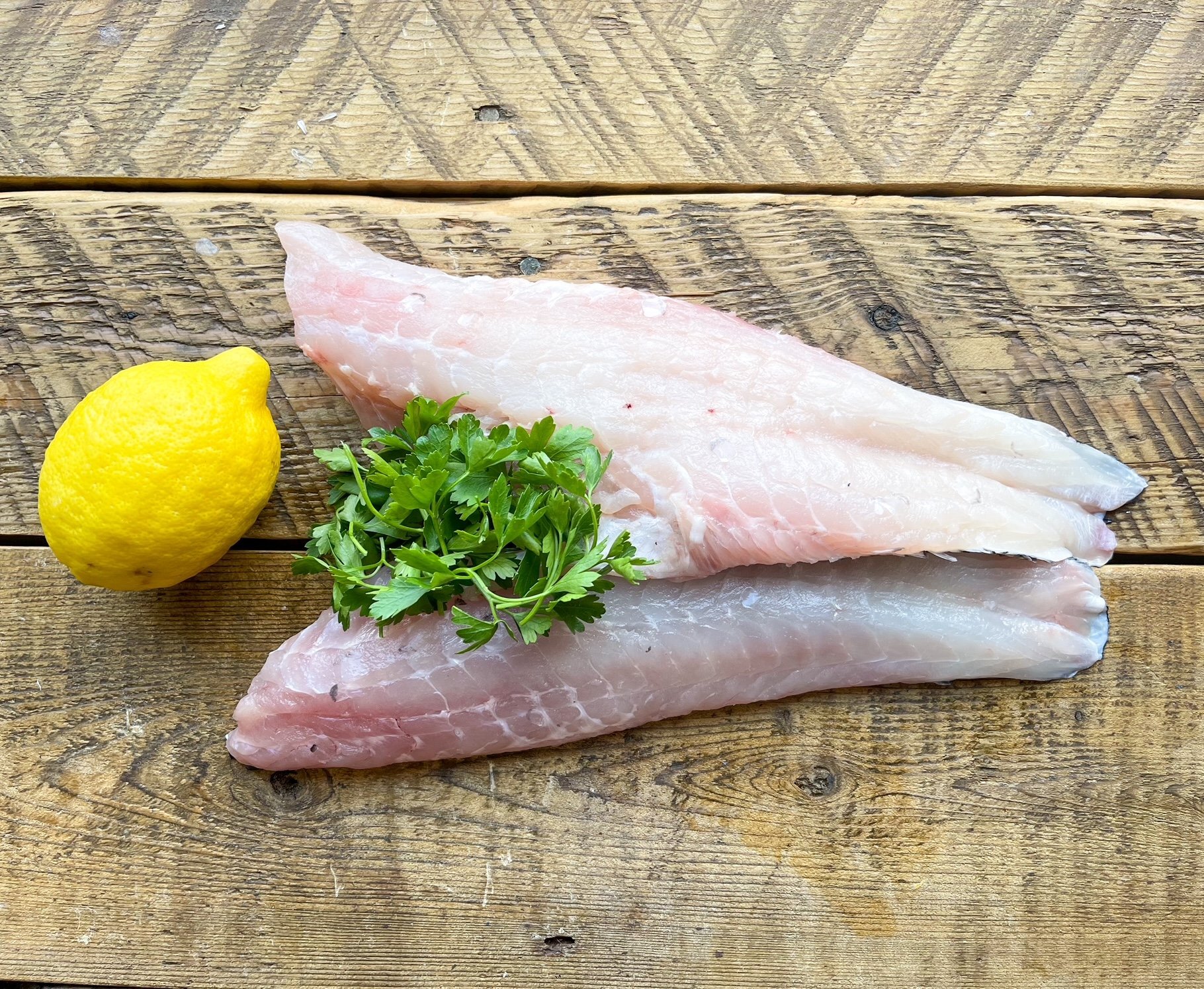 BLACK SEABASS