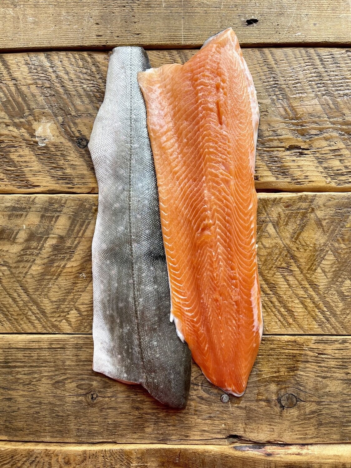 Arctic Char