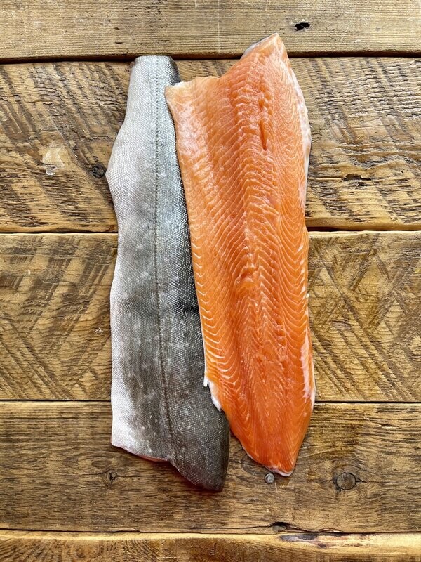Arctic Char