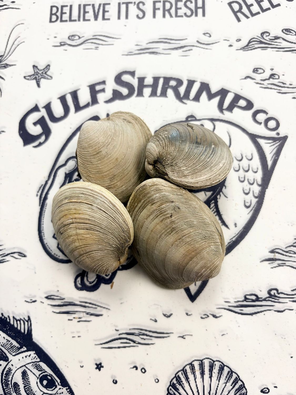 COUNTNECK CLAMS