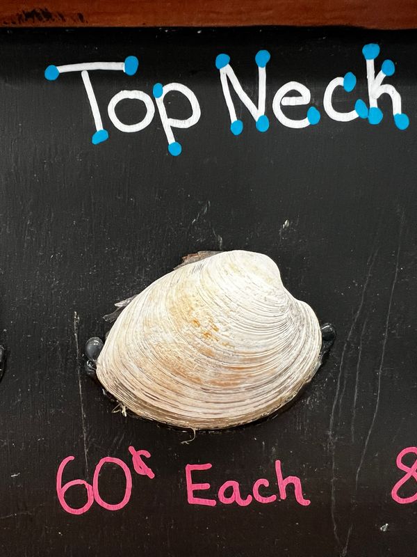 TOPNECKS