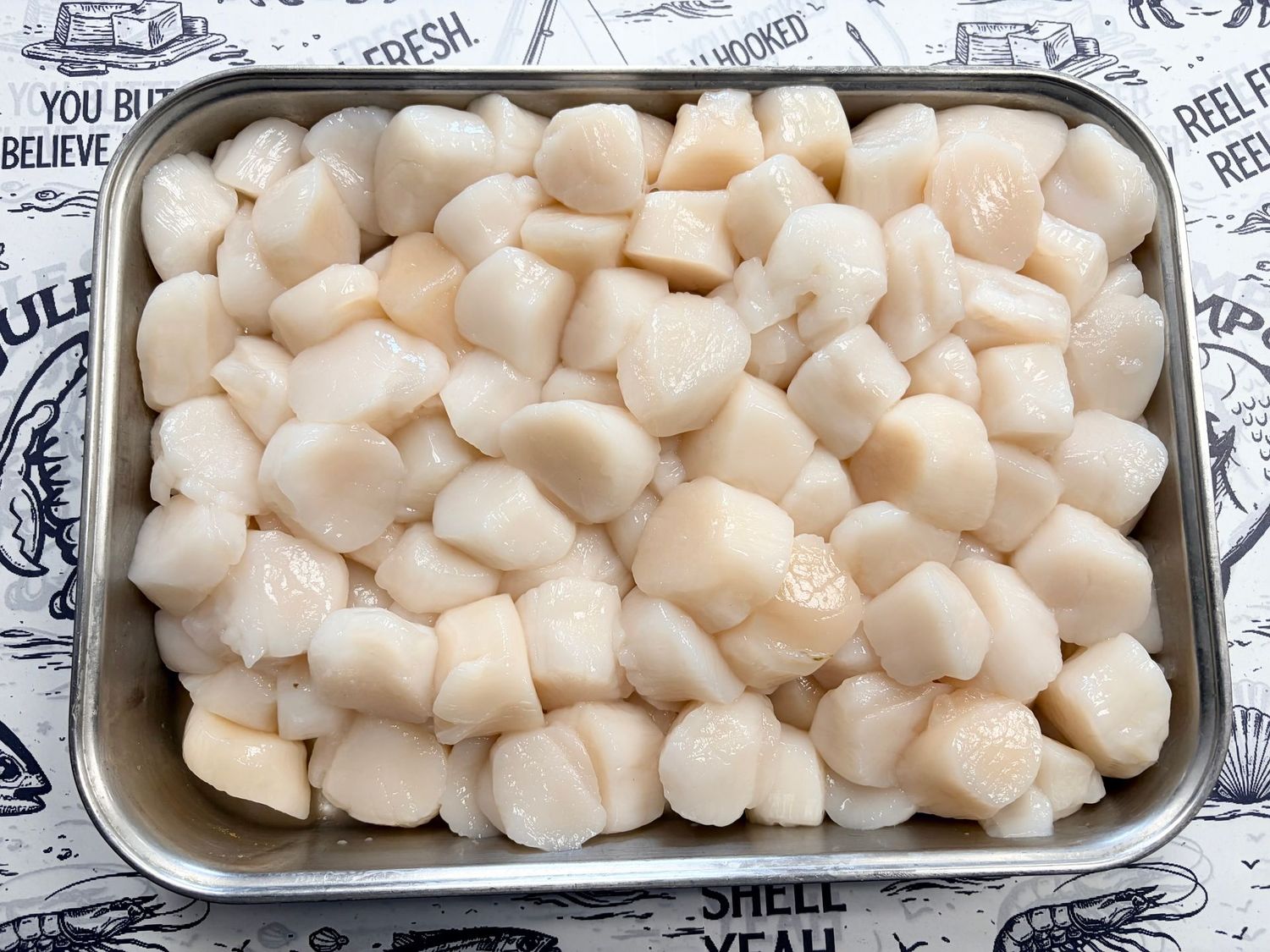 SEA SCALLOPS