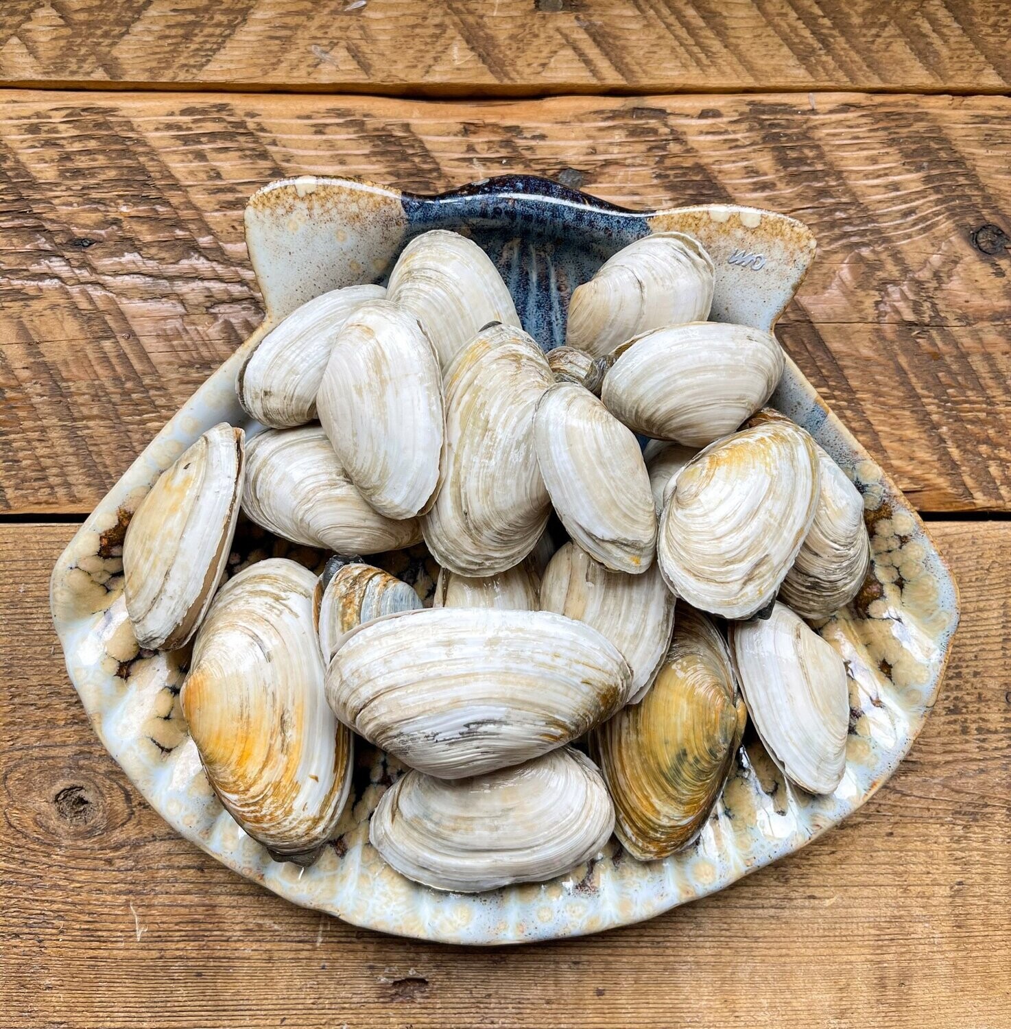 STEAMERS