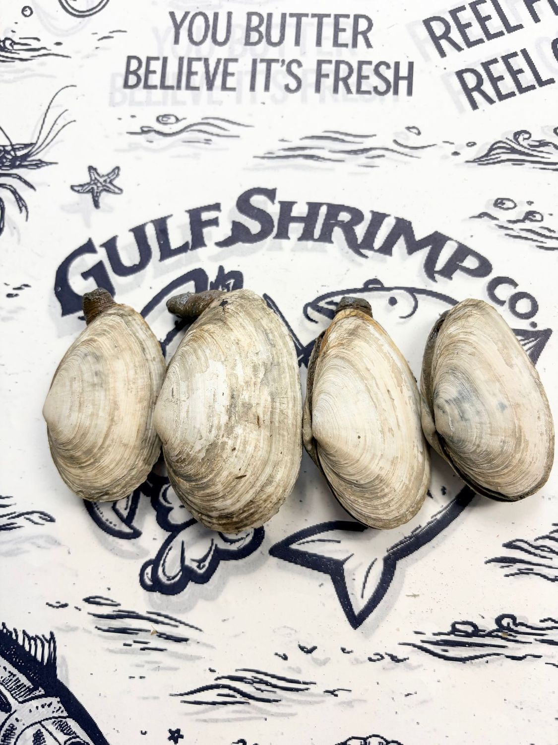 STEAMERS