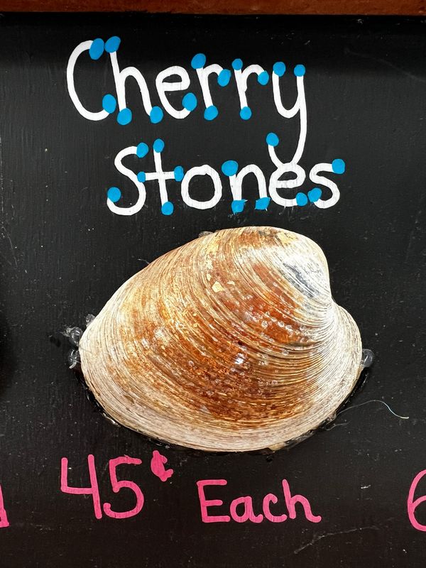 CHERRYSTONE