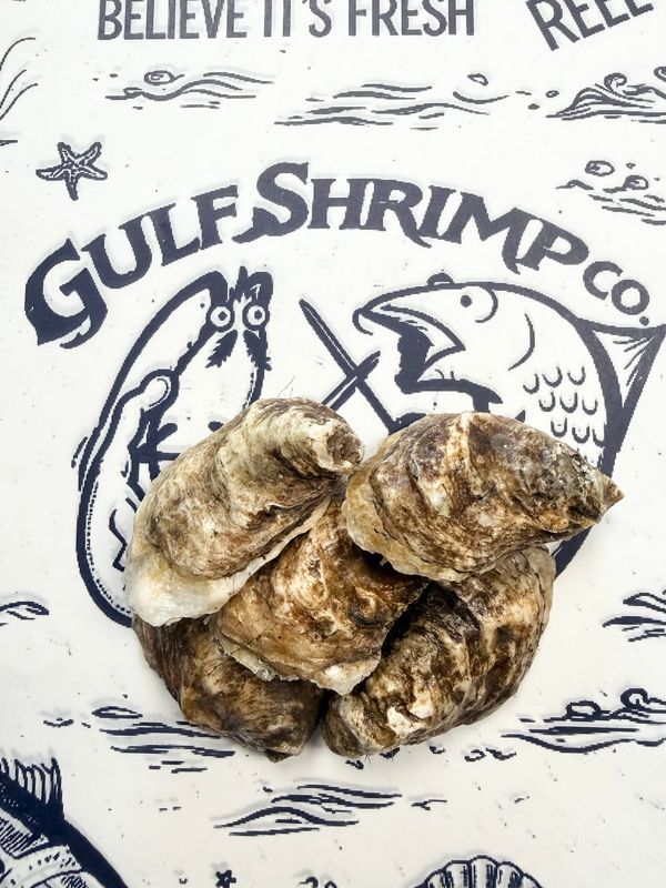 LOCAL OYSTERS