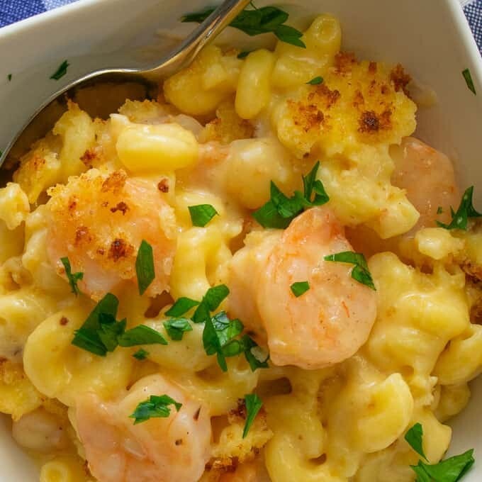 SHRIMP MAC & CHEESE