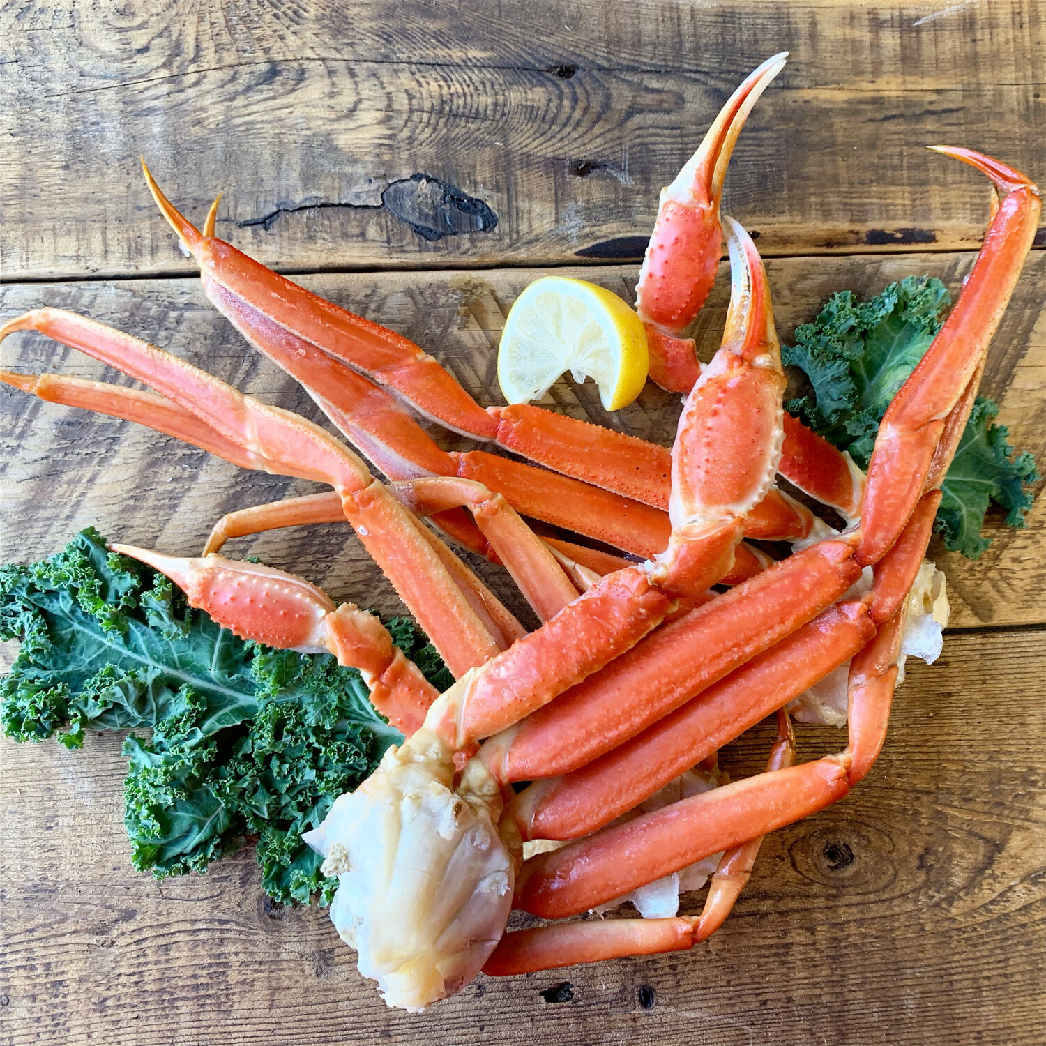 SNOW CRAB CLUSTERS