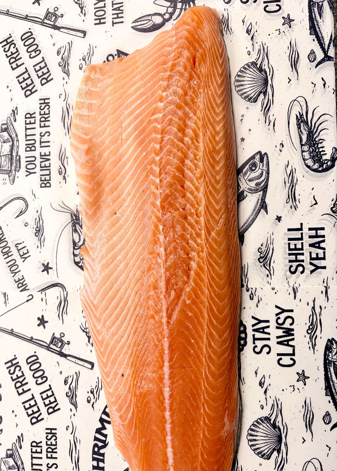 ATLANTIC SALMON