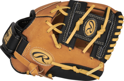 Sure Catch 10 in Youth Baseball Glove