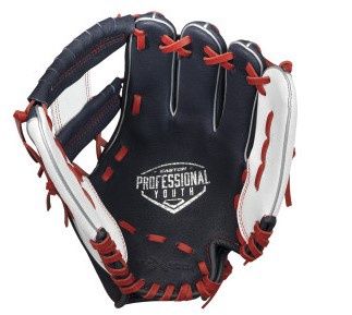 EASTON PROFESSIONAL YOUTH SERIES 10-INCH nywhrd RHT