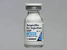 Ampicillin 1gm Inj