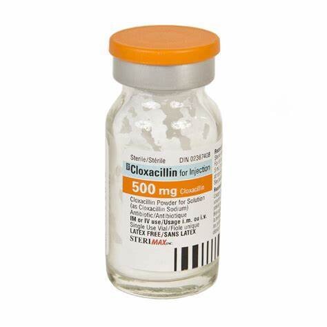 Cloxacillin 500mg inj