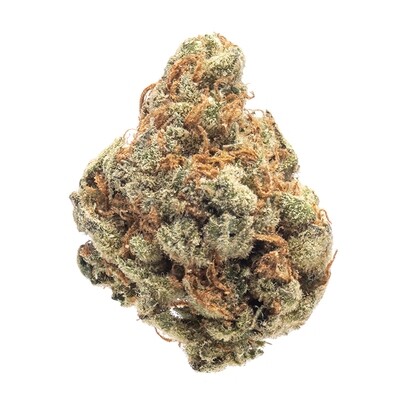 Sativa