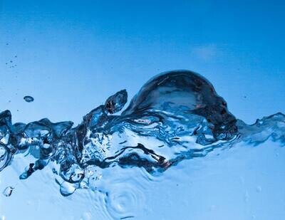 Legionella