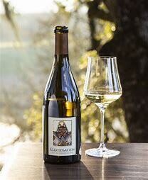 Illumination Sauvignon Blanc