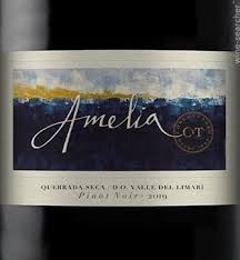 Amelia Pinot Noir, Limari Valley, Chile 2021
