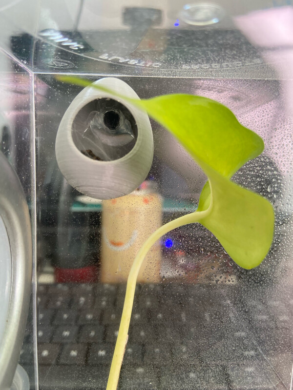 3D Printed Egg Hide (Oopsie)