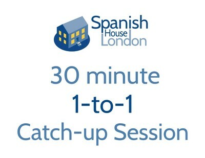 30 minute 1-to-1 catch-up lesson