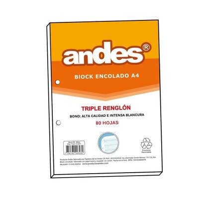 Block encolado A4 80H Triple Renglon
