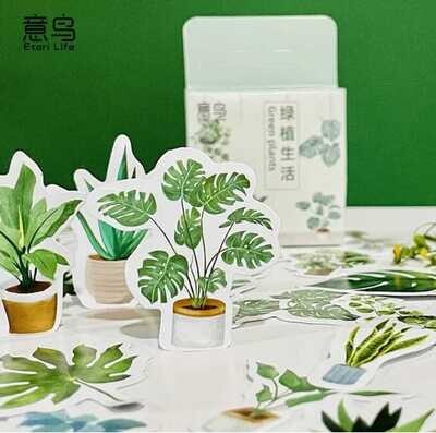 Sticker box Green Plants