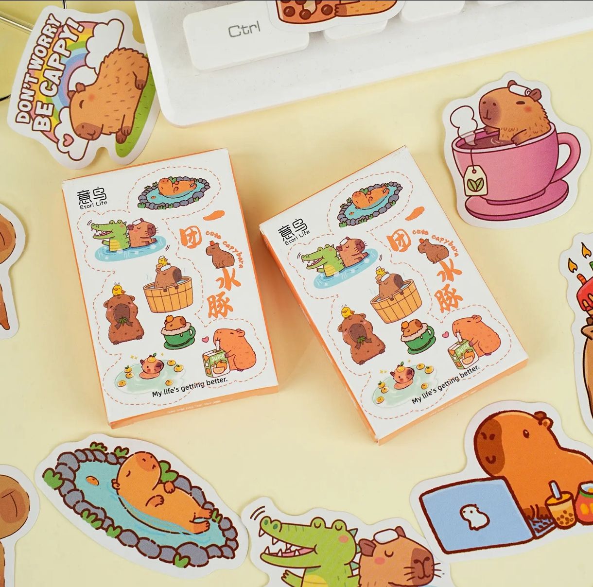 Sticker box Capybara