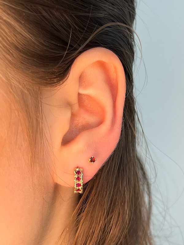 9ct Yellow Gold Claw Set Garnet Stud Earrings
