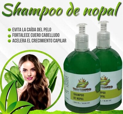 Shampoo extractos naturales