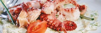 Pulpo