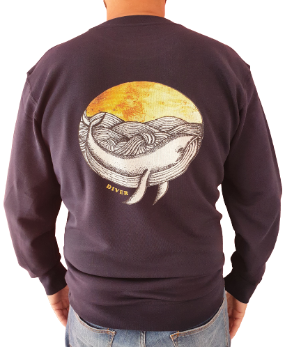 SWEAT NAVY WHALE