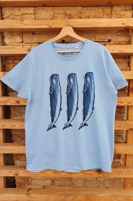 SPERM WHALE  BLUE