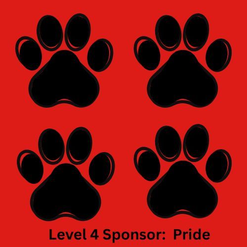 Pride Sponsor 2025/26