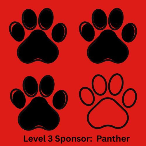 Panther Sponsor 2025/26