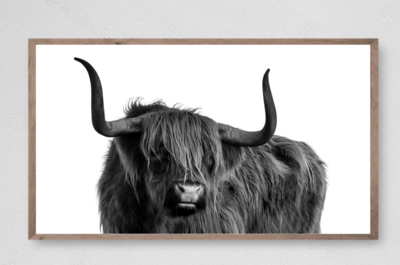 Samsung Frame TV Art, Whole Lot Of Bull, Highland Cow, Instant Download