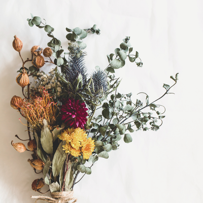 Blumen & Pflanzen