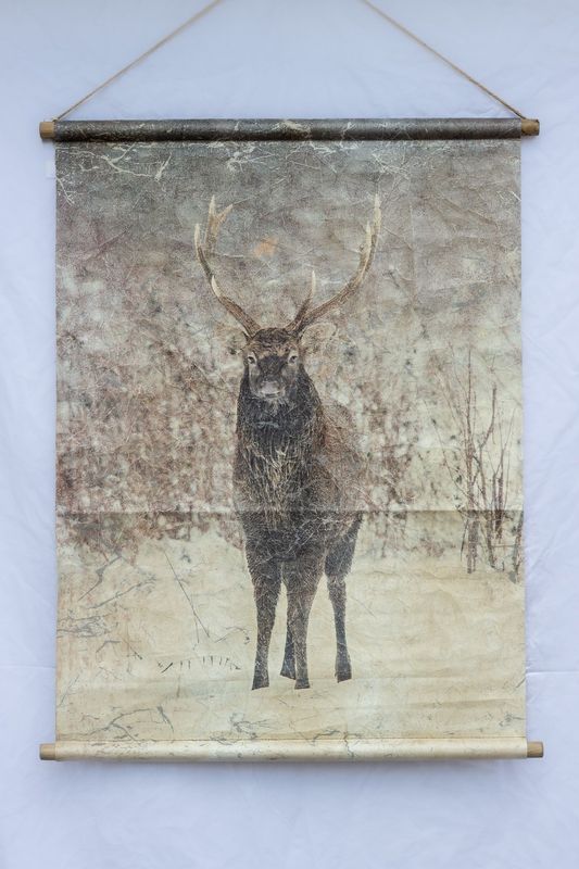 ​Wandbild „Hirschbock“