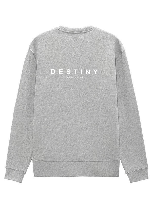 Destiny Back Printed Sweatshirt