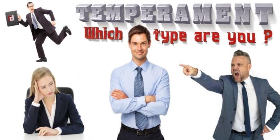 TEMPERAMENT AND CAREER PRODUCTIVITY