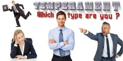 TEMPERAMENT AND CAREER PRODUCTIVITY