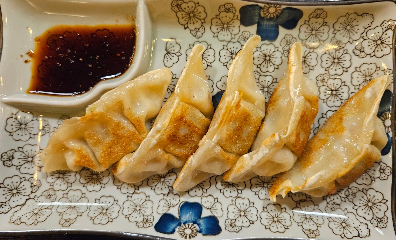 Pan Fried Gyoza