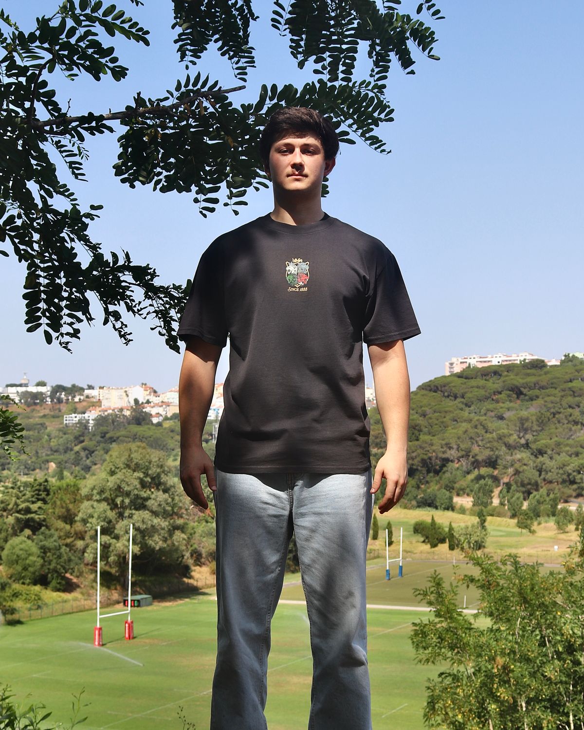 Lions Tee Ash