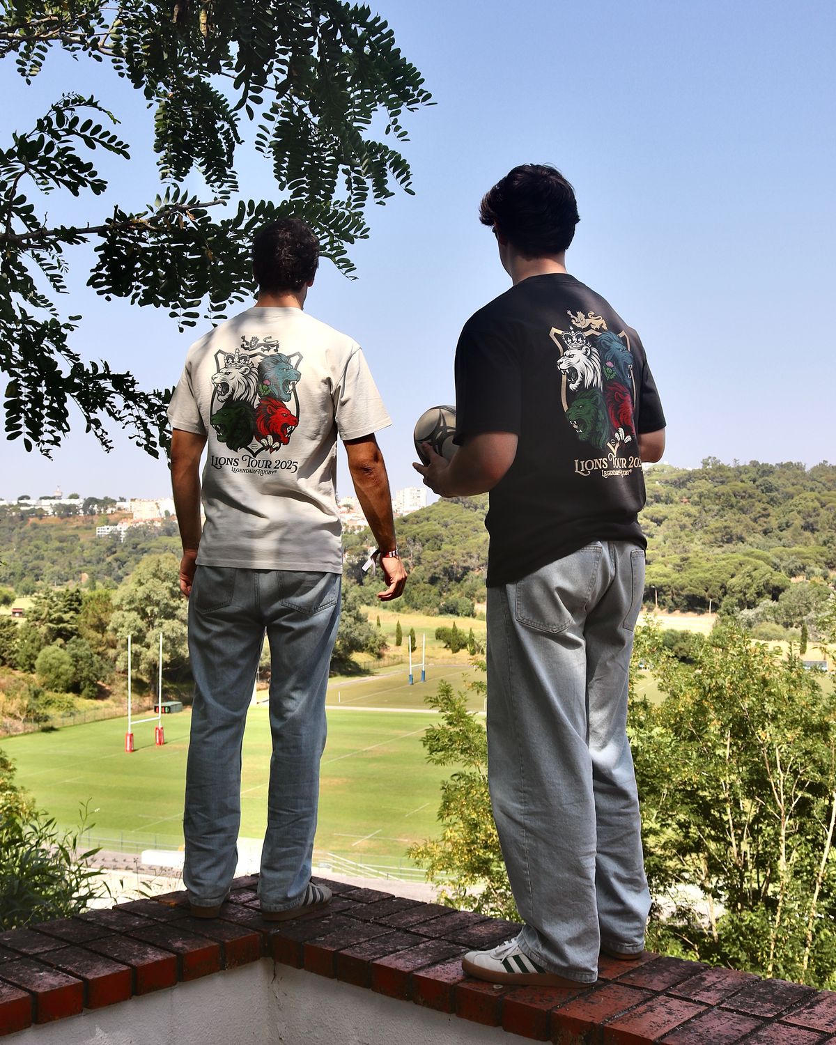 Lions Tee Ash