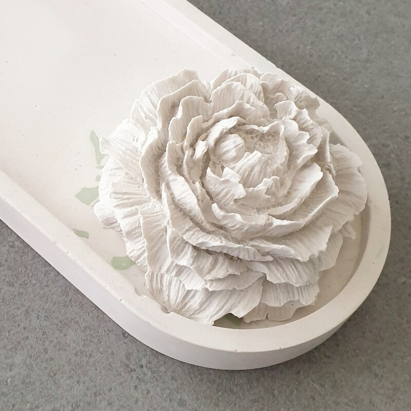 Camelia