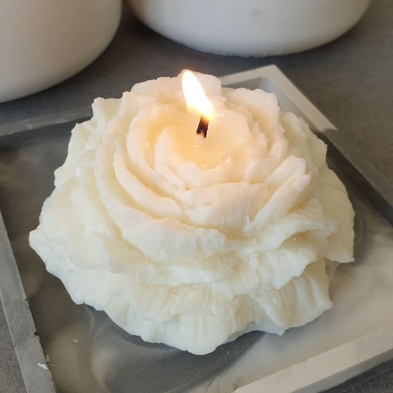 candela camelia