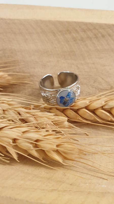 anello 2