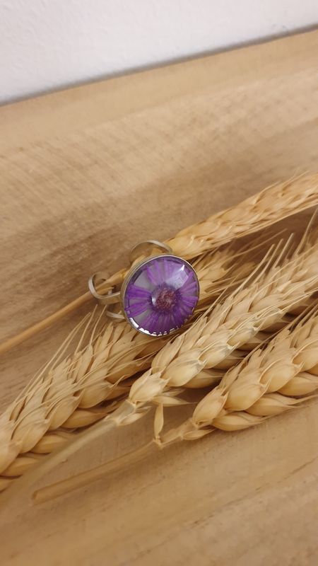 anello 4