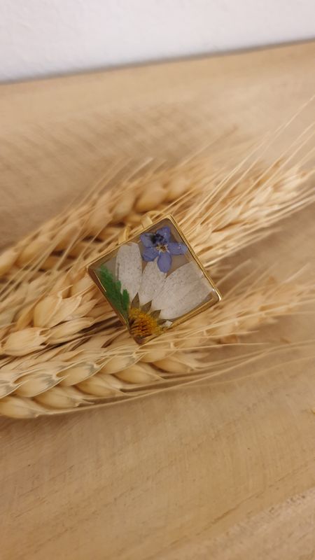 anello 5