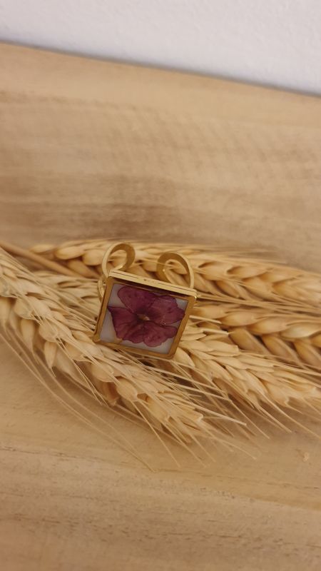 anello 7